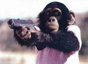 First Chimp Ever Allowed Into The NRA